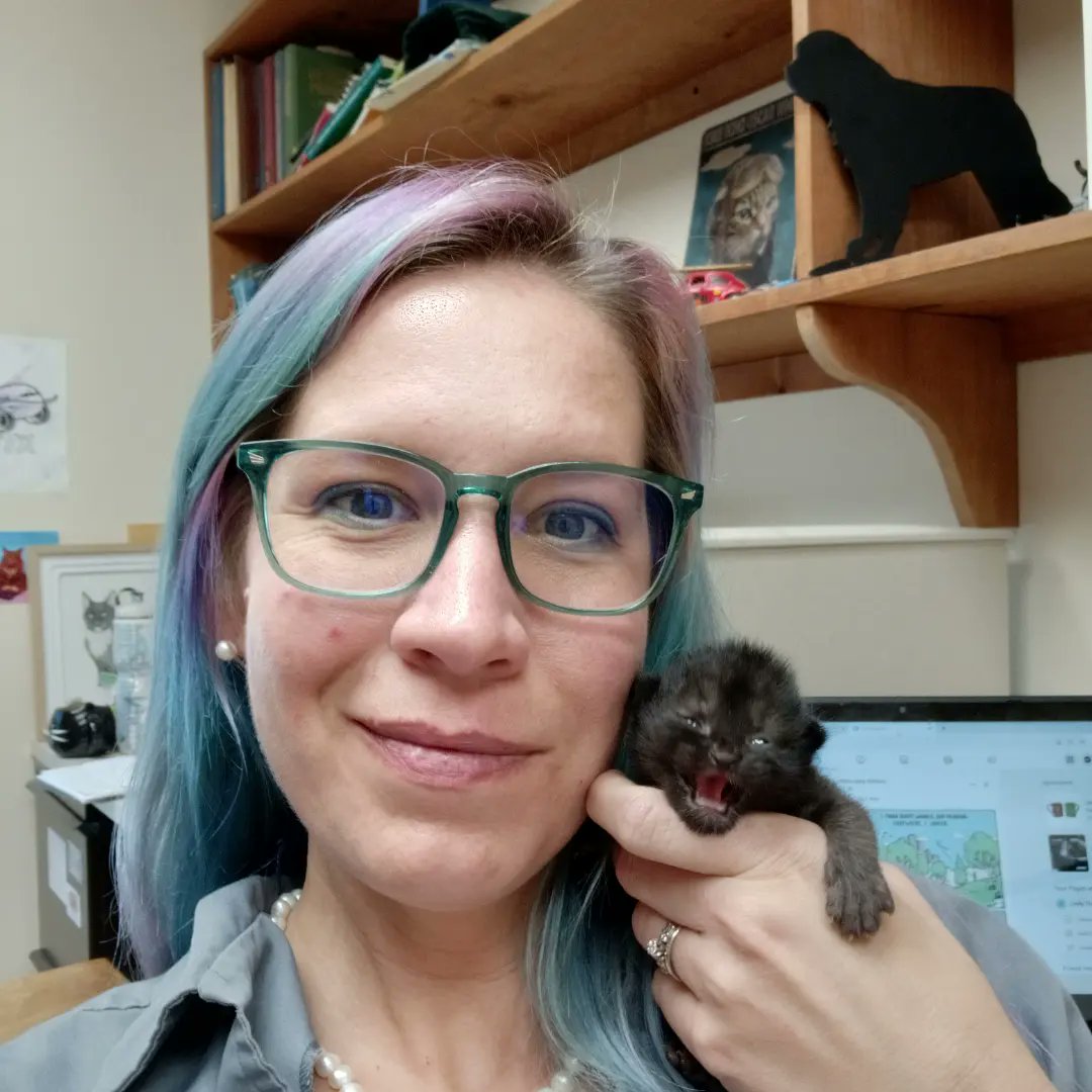 DrEmilyThomas's tweet photo. In this job, #veterinary #vetmed some days the #kitties need you and some days you need the kitties
#kitty #kittytherapy #illscratchyourbackyouscratchOW! #justababy #keetee #catsofinstagram #beebees #kitten #hungry #fuzznugget #therapy #animalcontrol https://t.co/dEpUGjmZsR