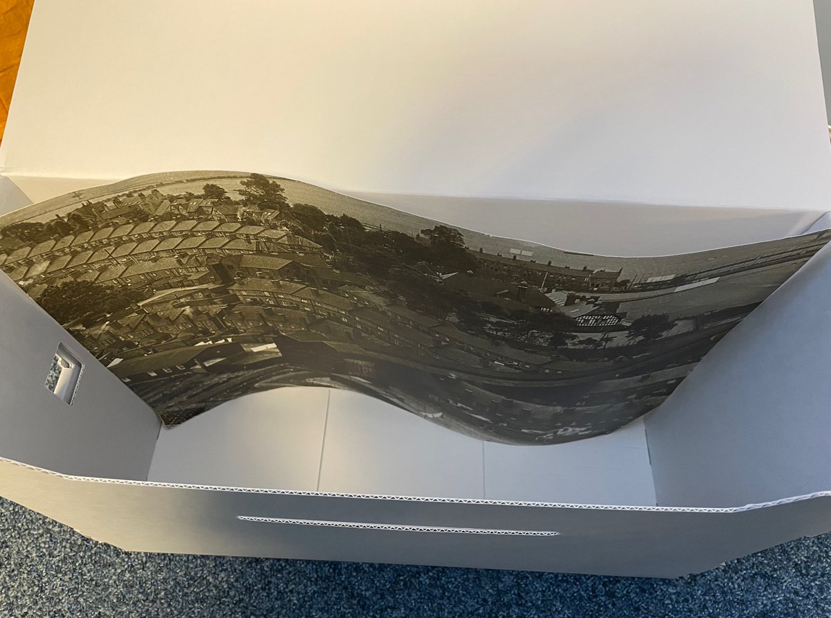 heyjudewilde's tweet photo. Ahem, can I cut a thou of an inch off this photo? I mean, it’s not a sycamore tree is it! Why can’t archiving be perfect #archivefun #flyinthointment #relaxamonlykidding #youknowilldoit #itsacopy https://t.co/tQHWKPC6GF