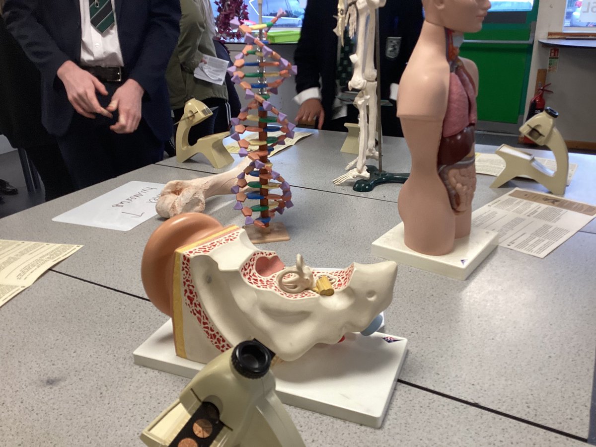 ChelloAcademy's tweet photo. 💚🖤 We’d like to thank all of those who came to our Year 6 Open evening last night. It was so great to see so many smiley 😊 faces visiting all our departments had to offer. It was also fabulous to see our many alumni reminiscing. Here’s to our new generation! 💚🖤 https://t.co/PdMgOE1gMO