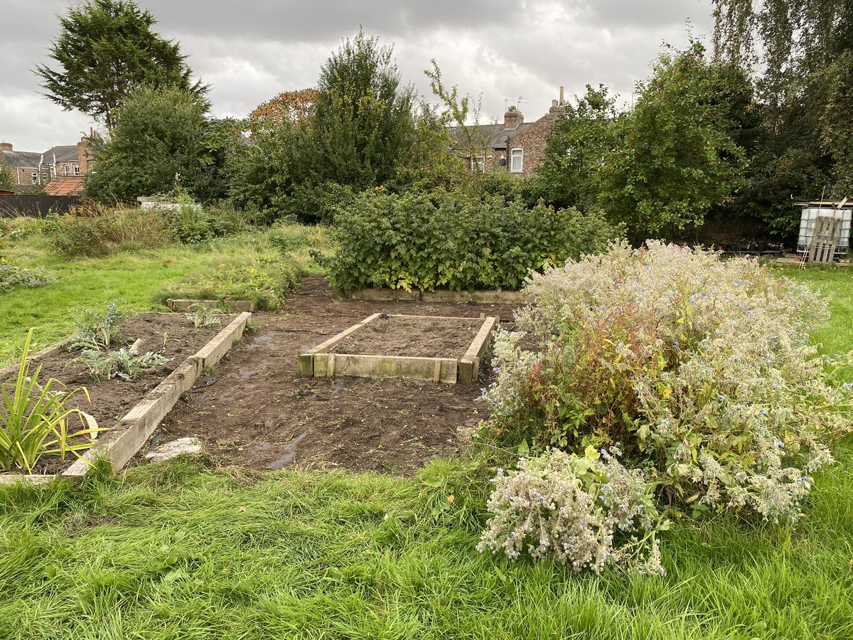 Yesterday we hosted a <a href="/Yorkcares/">York Cares</a> team challenge. Great team, and ticked a few more jobs off the task list!
Weeding the entrance (not stirictly our job but we try to be good neighbours!), making a new flower bed and clearing some paths