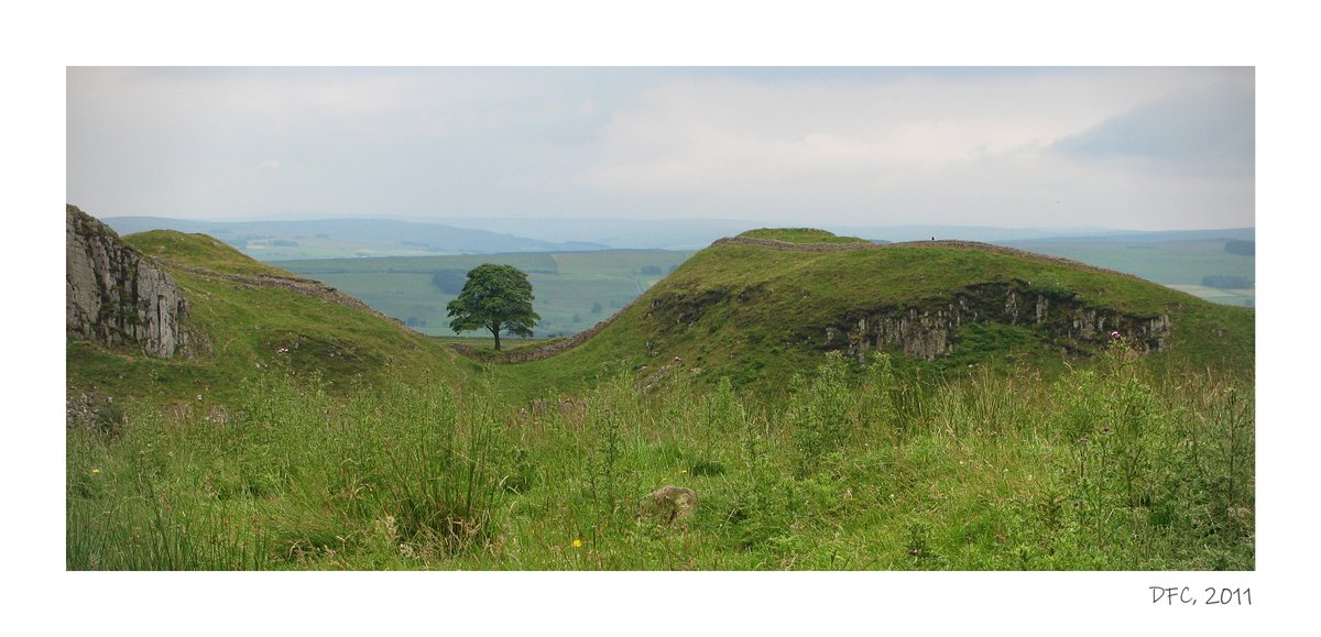 This morning, I edited this image from 2011. Thought I'd post it.