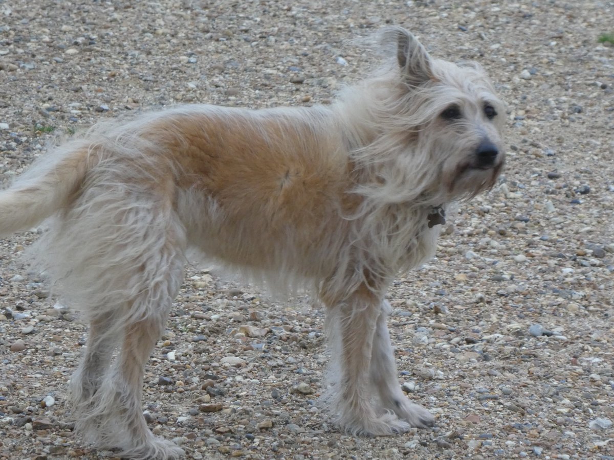 David Souter tweet media