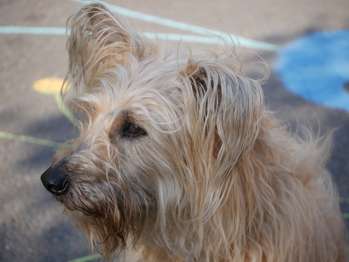 David Souter tweet media