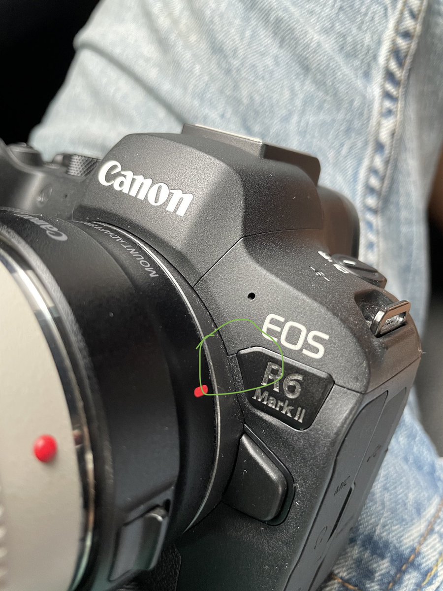 Paid quite a bit for this camera. Is the perfectionist in you screaming “Why isn’t it flushed?”

#canonr6ii #canon #photography