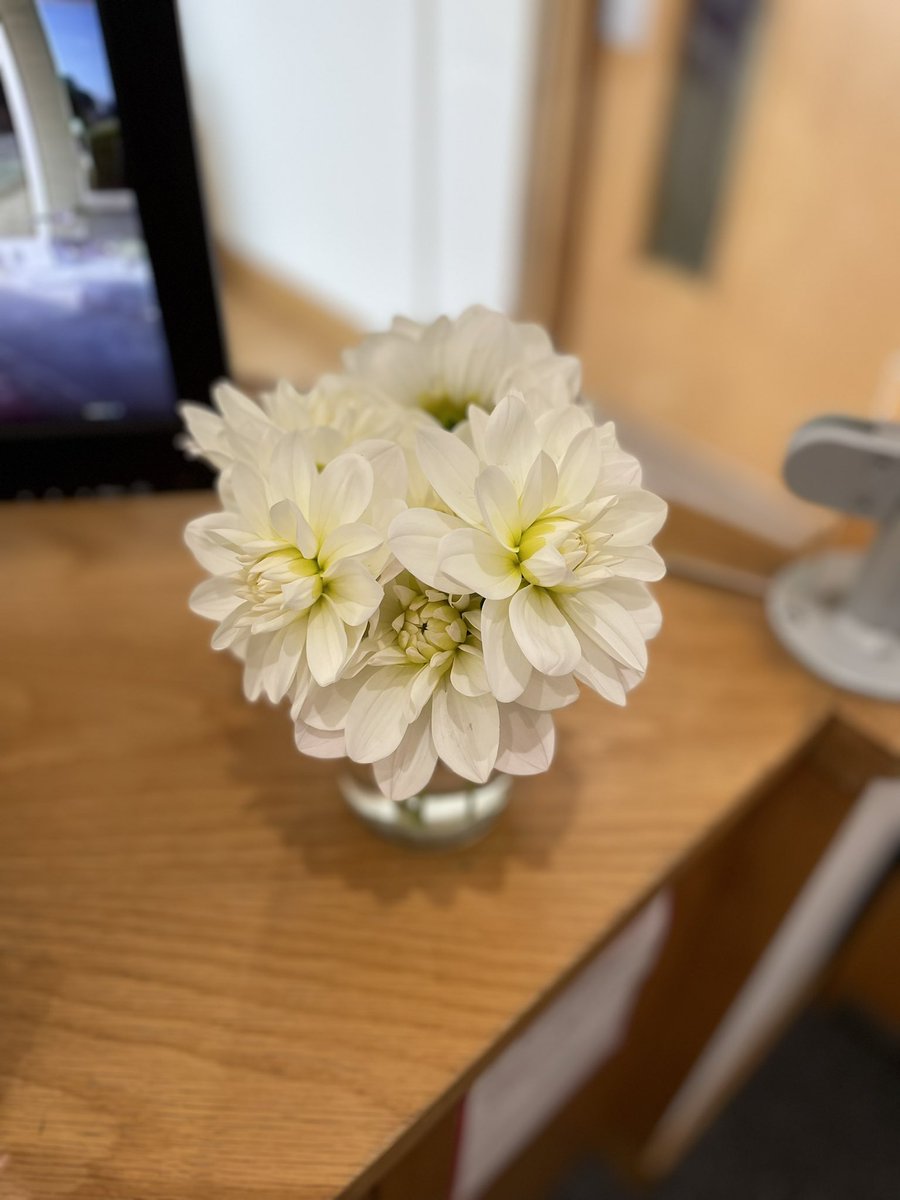 Paula Whitcher (@paulawhitcher1) on Twitter photo Thank you so much for the beautiful flowers <a href="/CaroSanderson/">Caroline Sanderson</a> x so good to see you & <a href="/KatieFforde/">Katie Fforde</a> this morning <a href="/DomCotter/">dominic cotter</a> <a href="/BookStroud/">Stroud Book Festival</a> <a href="/BBCGlos/">BBC Gloucestershire</a> Thank you so much for the beautiful flowers <a href="/CaroSanderson/">Caroline Sanderson</a> x so good to see you & <a href="/KatieFforde/">Katie Fforde</a> this morning <a href="/DomCotter/">dominic cotter</a> <a href="/BookStroud/">Stroud Book Festival</a> <a href="/BBCGlos/">BBC Gloucestershire</a>