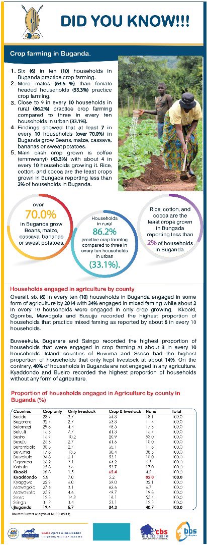 cpmayiga's tweet photo. Statistics indicate that over  60% of the households in Buganda practice  crop farming,

 Coffee is the main cash crop grown in Buganda, and 43.3% households grow it.

Kooki has the highest number of households among the counties that engage in both crop farming and livestock. https://t.co/dOW40DCi4Z