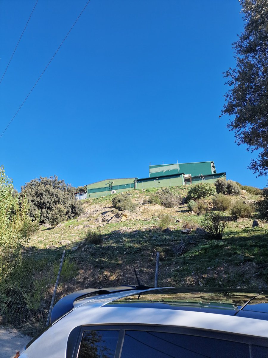 Nsdimeetu's tweet image. He cumplido con mi palabra y he ido a Guadalix de la sierra a gritar. 
- ALEX GANADOR, TE QUEREMOS.
- JAVI TE QUEREMOS
- MARTA Y PILAR FALSAS, TRAIDORAS.

(Mi novio a grabado un nano segundo en el metaverso y de put* milagro 😒 )
#GHVIP29S #GHVIPGala3