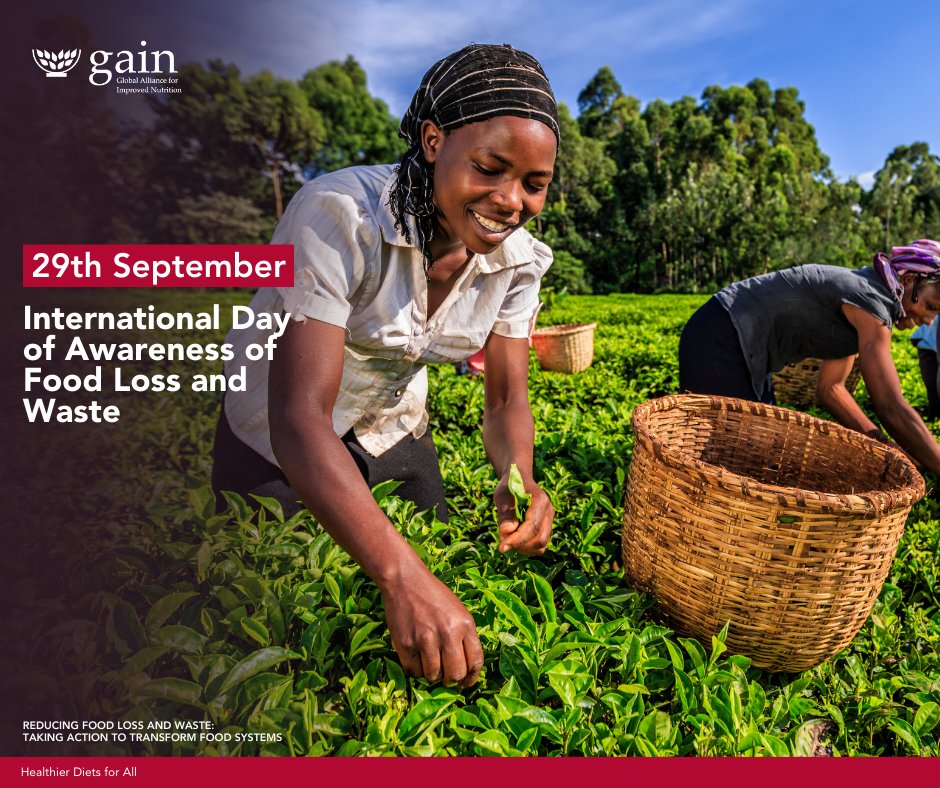 14% of the world’s food is lost after harvest and 17% is wasted at retail and consumption levels. Therefore, today we must reflect on how food losses contribute to lack of access to healthier diets for millions of people.
#HealthierDiets4All.
