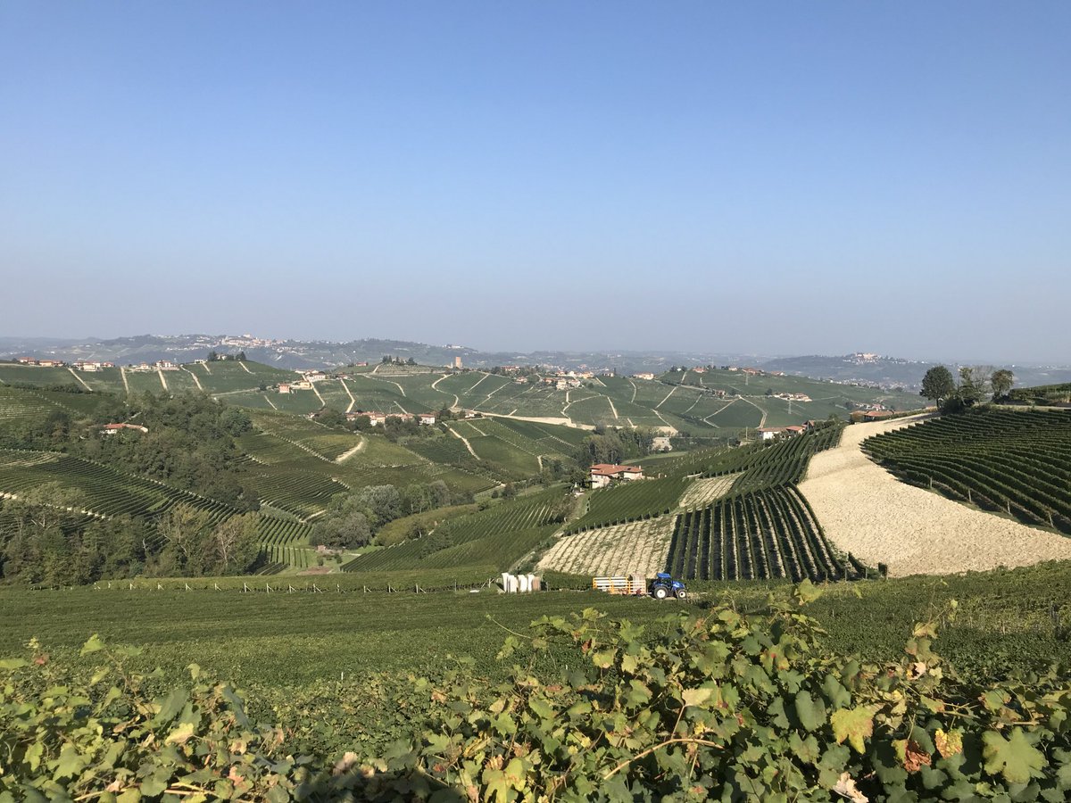 Peter Bamford tweet media