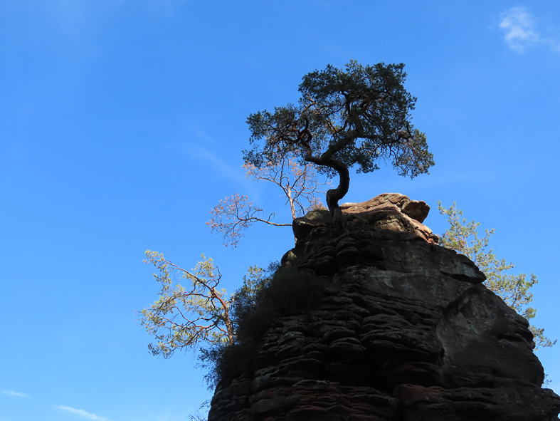 "I have to study myself in actuality – as I am, not as I wish to be."
Krishnamurti
raumfuermeditation.de