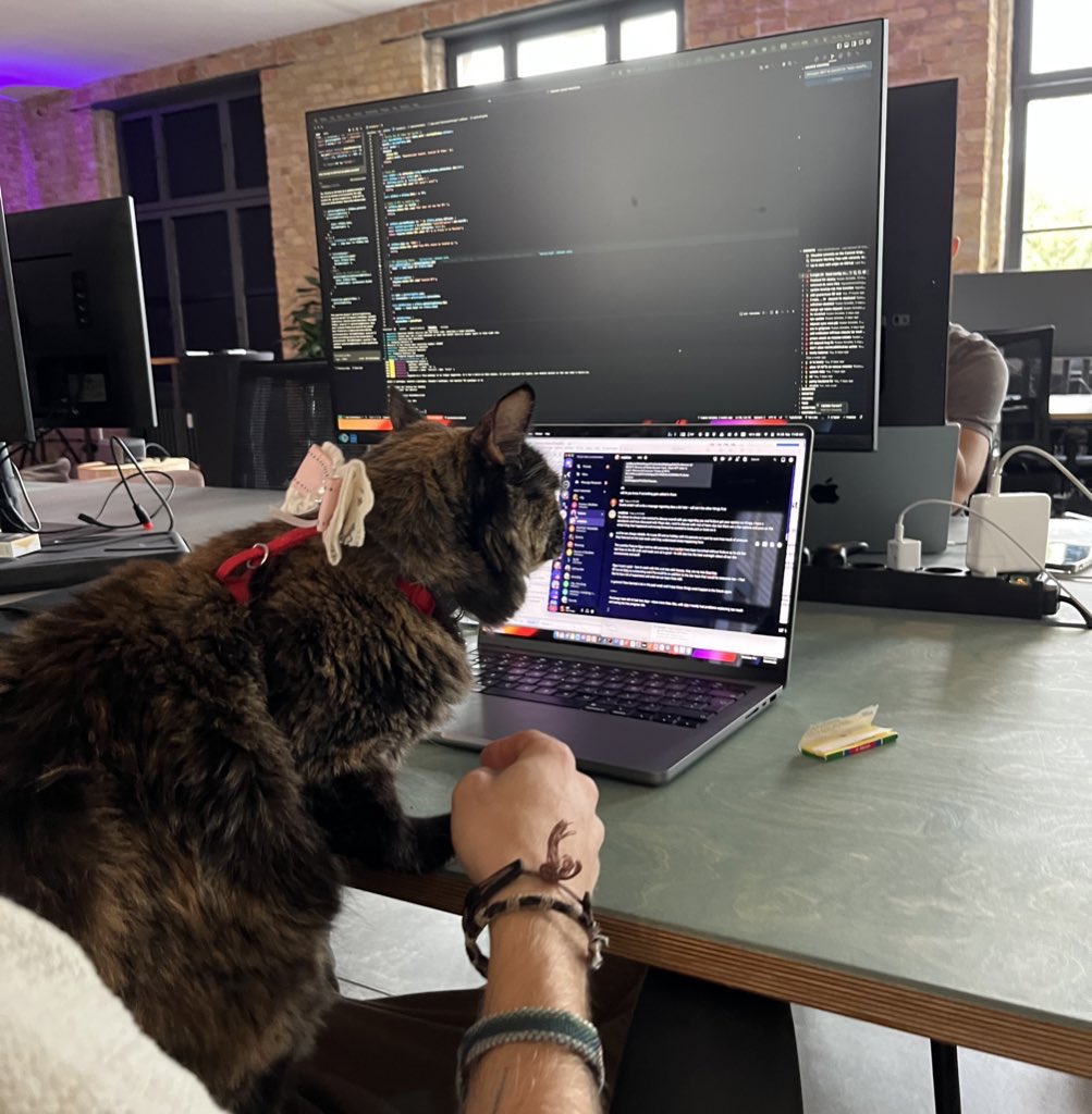 zCase_'s tweet image. Have you ever seen a cat touching code? 😸

#BuildStationBerlin #HyperdriveHackathon
