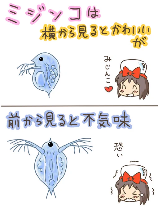 売れのこったブラウン管のおはなし。(895)

ミジンコ 