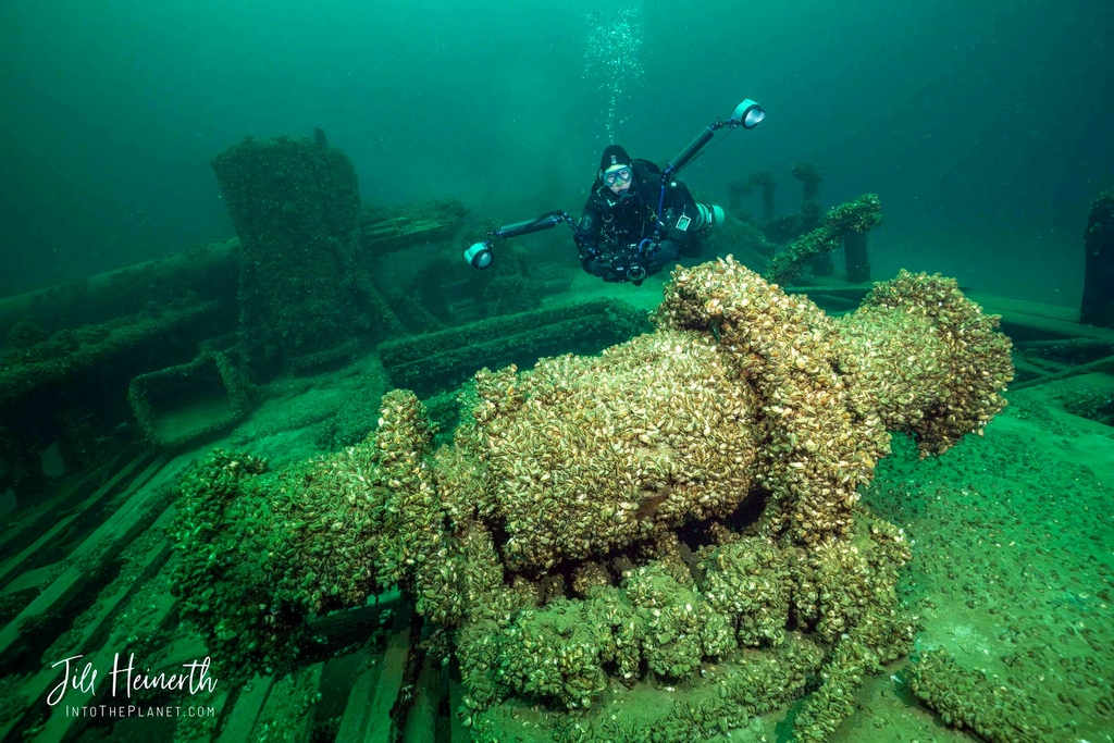fourth_element's tweet photo. **NEW WETNOTES**

Paying It Forward... > https://t.co/qtM5jeMEFC

Fourth Element Dive Pioneer Jill Heinerth talks about mentorship, perseverance, and the power of the dive community!

#fourthelement #scubadiver #diving #scuba #wreckdiver #girlsthatscuba #expedition https://t.co/x1CNkWHC50