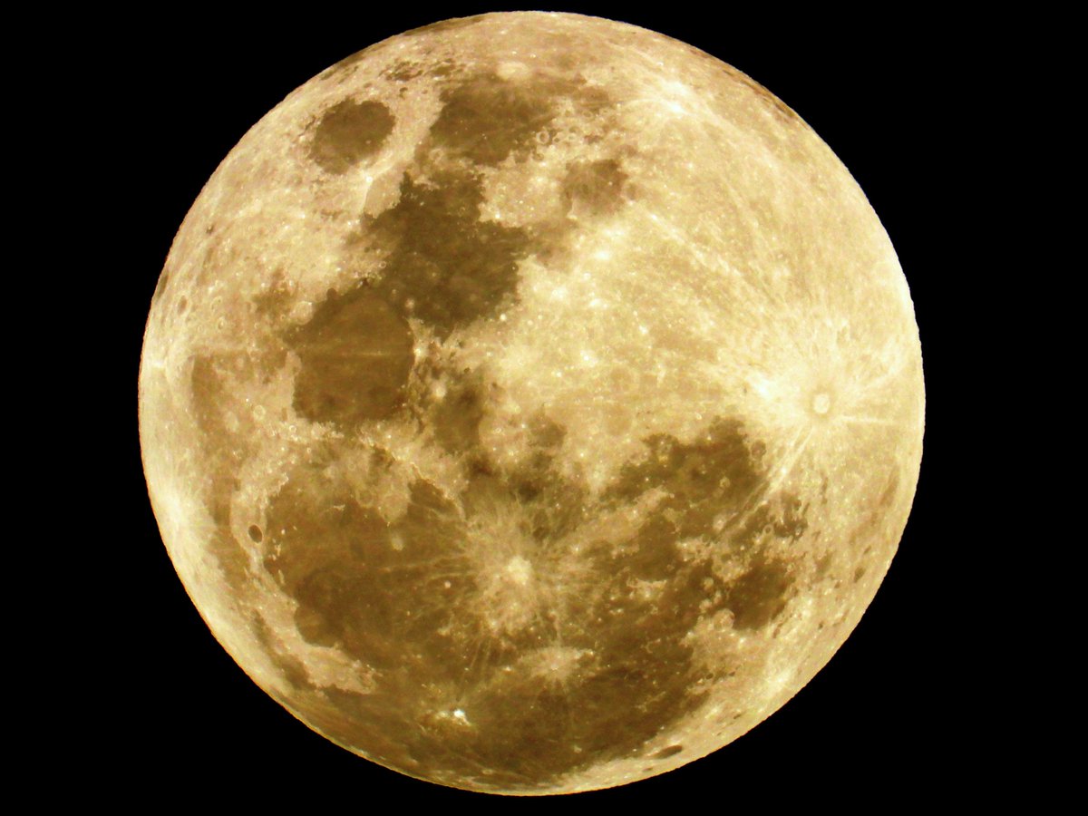 CherScheff's tweet photo. Its all about the Full Moon tonight
Looking brilliant as it rises in Friday night skies.
Springtime #SeptemberFullMoon 100.0%

#MoonHour #MoonHourSocial https://t.co/UR4jjEfKWx