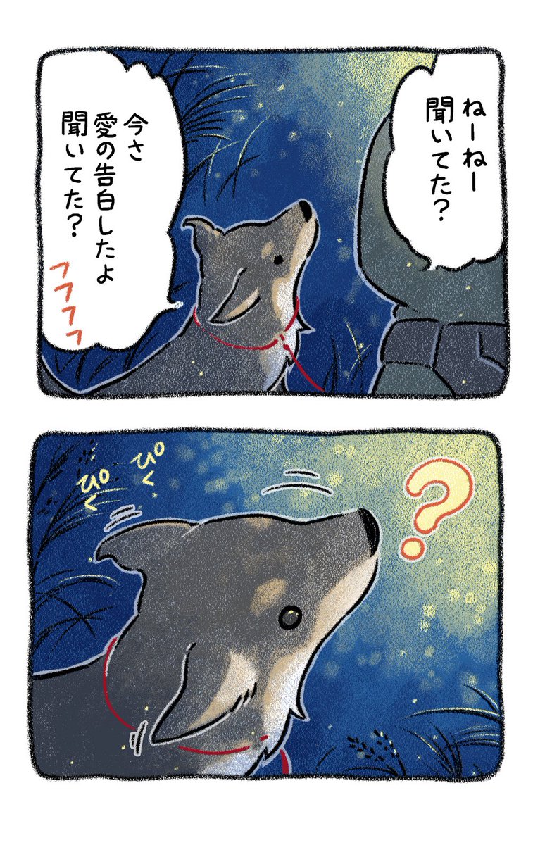 今宵も月が綺麗ですね🌕 
