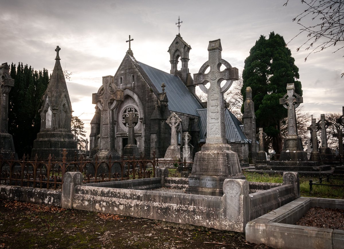 Limerick City and County Council Archives Service tweet media