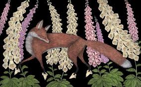 In Cumbrian dialect, 'thimble-flower' is foxglove one tale is of #faeries who gave a #fox the flower petals to put on it's toes - the fox's gloves - so that it could raid the hen house without being heard #faeriefriday #folklore #cumbria #art Kelly Louise Judd