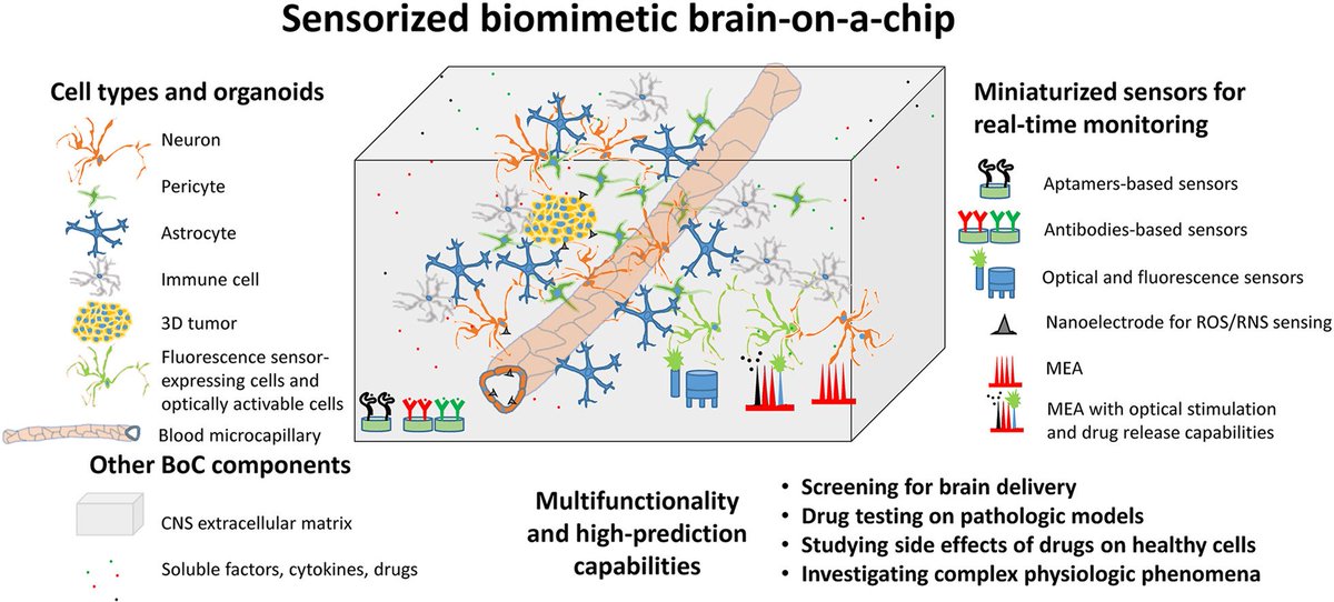 CiofaniGianni's tweet photo. Latest advancements on sensorized barriers-on-a-chip: Our invited review on Trends in Analytical Chemistry:
https://t.co/kQx6QERGCl
@ERC_Research #magdock
@MSCActions @TheraTools_JD
@IITalk @IITalk_projects https://t.co/hk8qNXBnZN