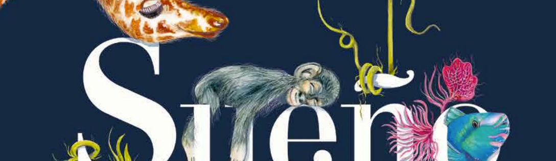 Sueño animal dlvr.it/SwlZgW