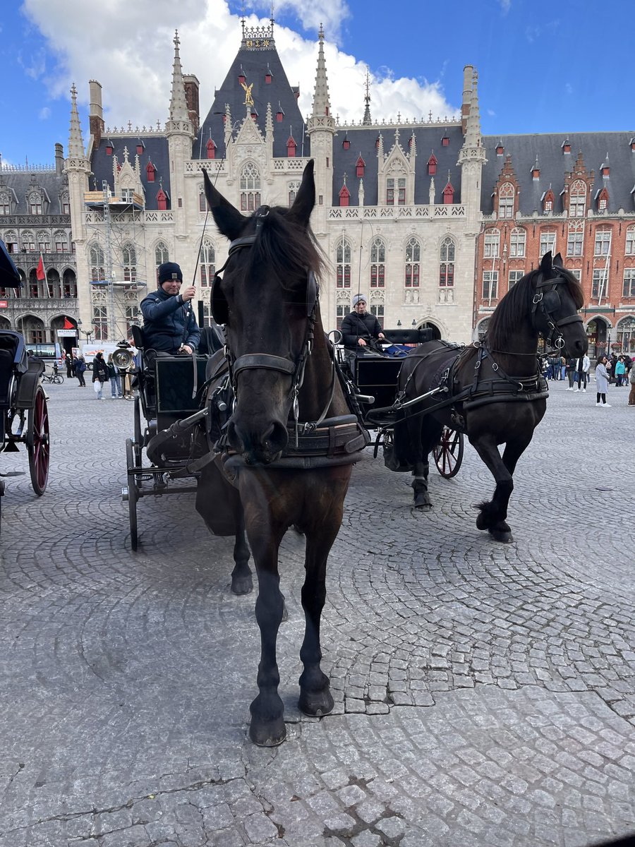 keirving's tweet photo. This time last year Mum and I had a little sight seeing tour of Bruges …. 🥰❤️😍 #bruge #belgium #azsintjan @azsintjan https://t.co/k2sfzqLG9E
