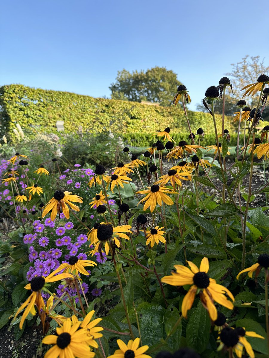 Autumn in the Bradfield gardens.