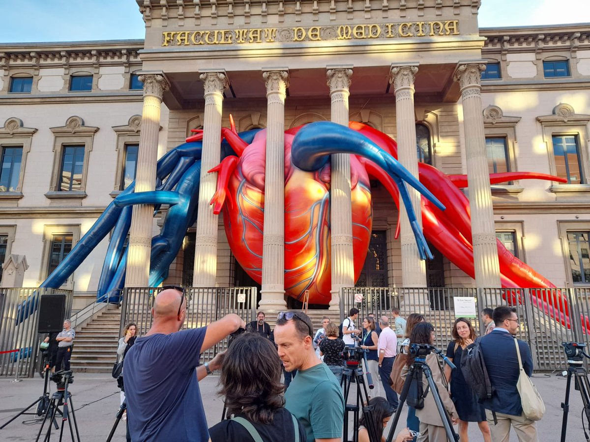 💫Amazing performance 👏🏻👏🏻👏🏻I challenge my colleagues at <a href="/UniBarcelona/">Universitat de Barcelona</a> <a href="/hospitalclinic/">Hospital Clínic</a> to place a kidney there next time! 🙏🏼💪🏼 <a href="/torreandfriends/">J Vicens Torregrosa</a> <a href="/jmcampis/">Josep M. Campistol</a> <a href="/Miki_blasco/">Miquel Blasco</a> <a href="/mverarivera/">Manel Vera Rivera (1971-2024)</a> <a href="/FritzDiekmann/">Fritz Diekmann</a>