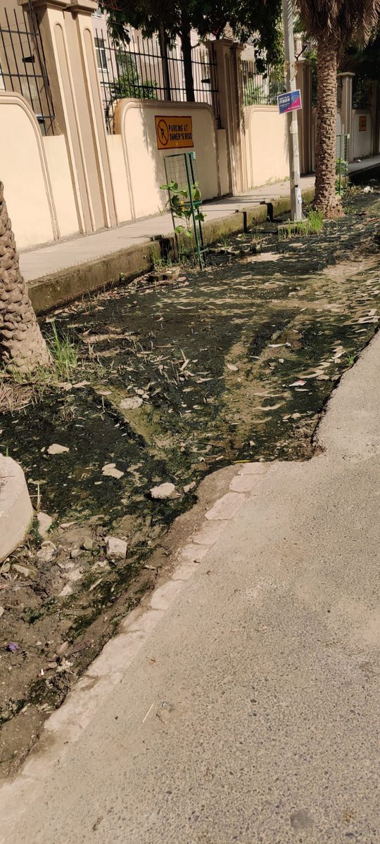 skaairdd's tweet photo. Drains in NOIDA Sector 137, are overflowing for more than 3 months.
This is creating dirty &amp; unhealthy conditions for the Residents.
,@CeoNoida @noida_authority 
Pl look into this. https://t.co/w4Ckyp18bj
