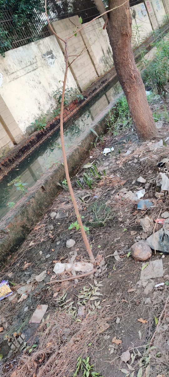 Subodh Aggarwal (@skaairdd) on Twitter photo Drains in NOIDA Sector 137, are overflowing for more than 3 months.
This is creating dirty & unhealthy conditions for the Residents.
,<a href="/CeoNoida/">CEO, NOIDA Authority</a> <a href="/noida_authority/">NOIDA Authority</a>
Pl look into this. Drains in NOIDA Sector 137, are overflowing for more than 3 months.
This is creating dirty & unhealthy conditions for the Residents.
,<a href="/CeoNoida/">CEO, NOIDA Authority</a> <a href="/noida_authority/">NOIDA Authority</a>
Pl look into this.