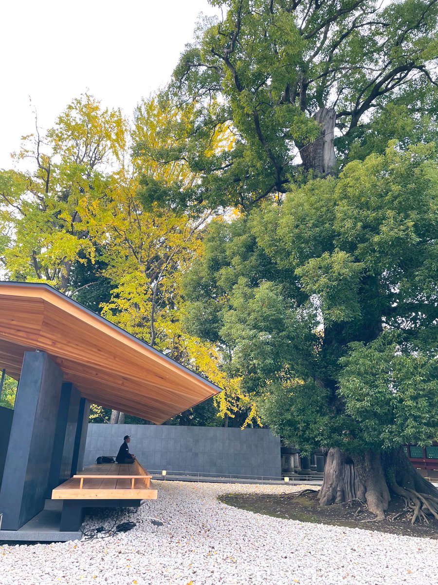 遅ればせながら今回もSV解散総選挙に立候補しました！！
一年ではやりたいことの半分も出来なかったので、やり残した事を今期こそ果たしたいと思います🎋
千葉からは元千葉も含め5人の立候補👏まだまだ未熟ではあるけど、皆んなの力を借りながら、そこにいるだけで安心を与えられる存在になるぞ😁