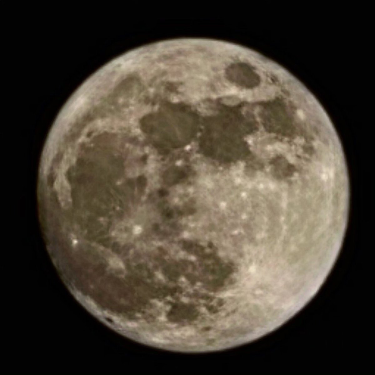 _karlae's tweet photo. @alejodorowsky Me recuerda a la luna🩶 https://t.co/J9eHjG0uWh