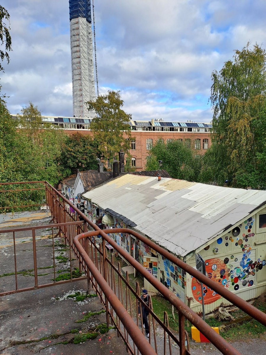 Iina Sankala tweet media