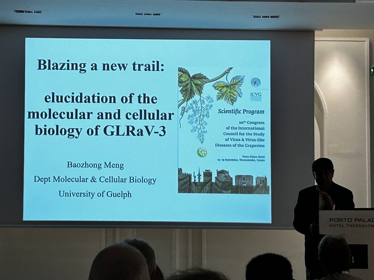 GianfRomanazzi's tweet photo. #ICVG2023 Baozhong #Meng reviews the investigations on #GLRaVs focusing on #GLRaV3, opening last day of an excellent #ICVG #meeting in #Thessaloniki https://t.co/1RHcVyaFxG
