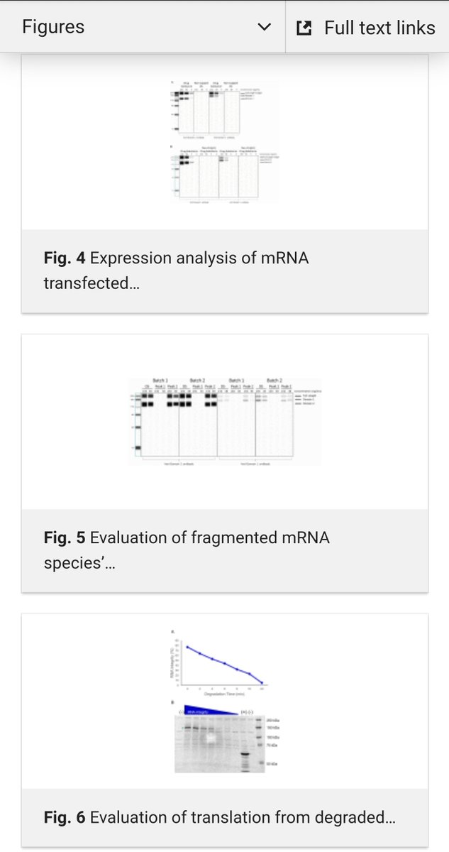53v3n0fn1n3's tweet image. As coauther he sure would have a responsibility. 

The paper is linked above. The data and blots were first published by EMA review Filip Josephson in Jan 2023 and raised the #blotgate in addition to #humpgate and #TGAgate @Jikkyleaks 

Klaus Cichutek once said: 
"We are EMA"