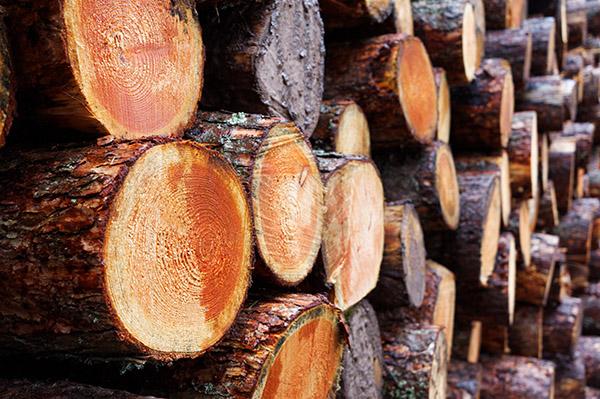 By using timber as the main resource in our products, we can ensure that the minimum amount of energy is consumed. The processing of wood requires no mining, can be regrown in the space of a lifetime and is 100% recyclable, non-toxic and biodegradable. shadbolt.co.uk/about-us/envir…