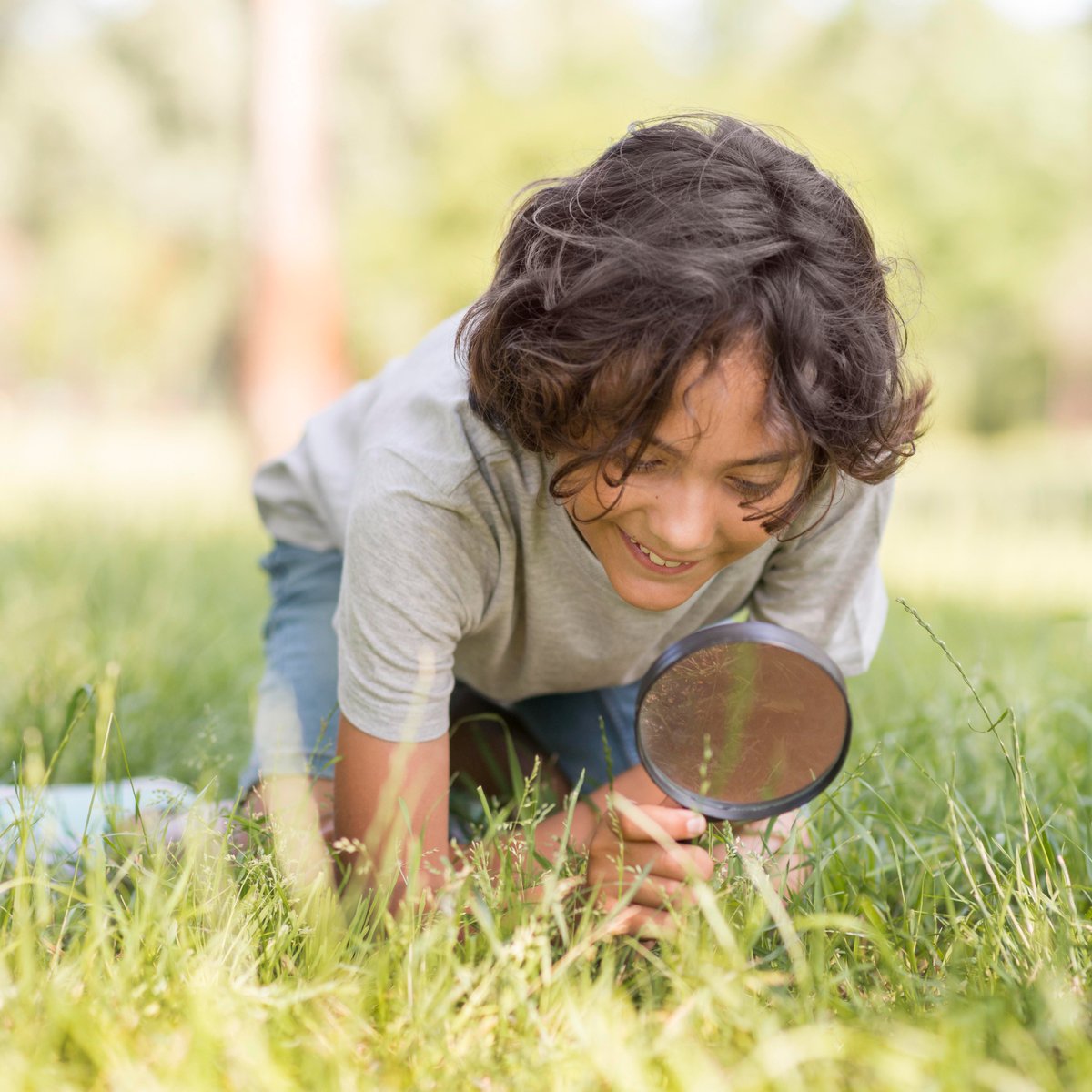 videogurudotcom's tweet photo. 5 awesome questions to get your kids inquisitive about their surroundings 🔎

A thread 🧵  (Questions + Explainer Videos)

#Science #nature https://t.co/zv4HqgKo4n