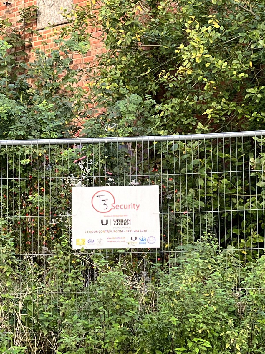 Kaleidoscope CFA tweet media