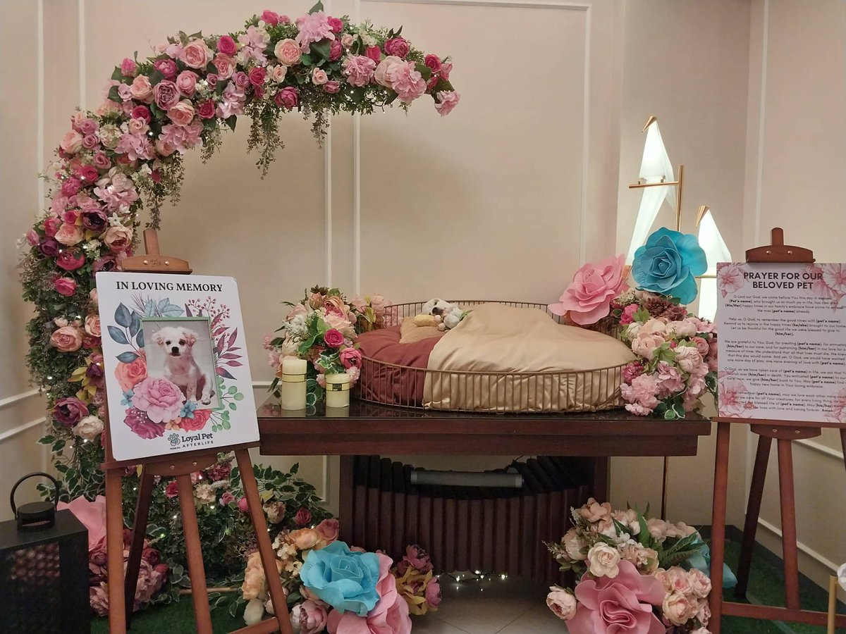 drk_mrcc's tweet image. Sobrang hirap harapin ng katotohanan. Mahal na mahal kita, Pepper.