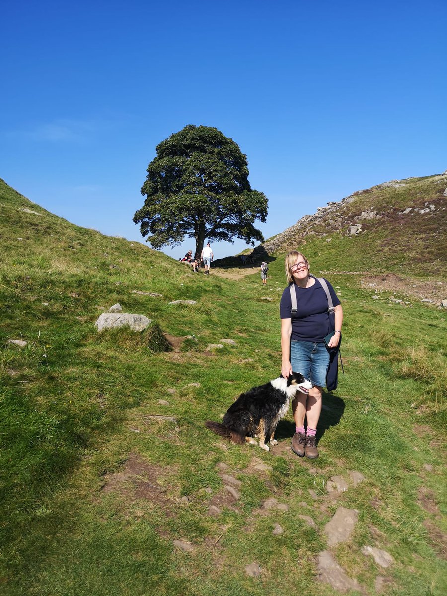Mortegg's tweet photo. @WoodlandTrust @wildflower_hour We did a fantastic walk in the area at the beginning of September. Sycamore Gap was the highlight. https://t.co/8TDin4Pm6p