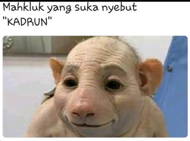 nikkendil's tweet photo. @oetomo_ian @sangilaga @yunartowijaya Kl mau tau, Nich.... https://t.co/U4hPsxIfo3