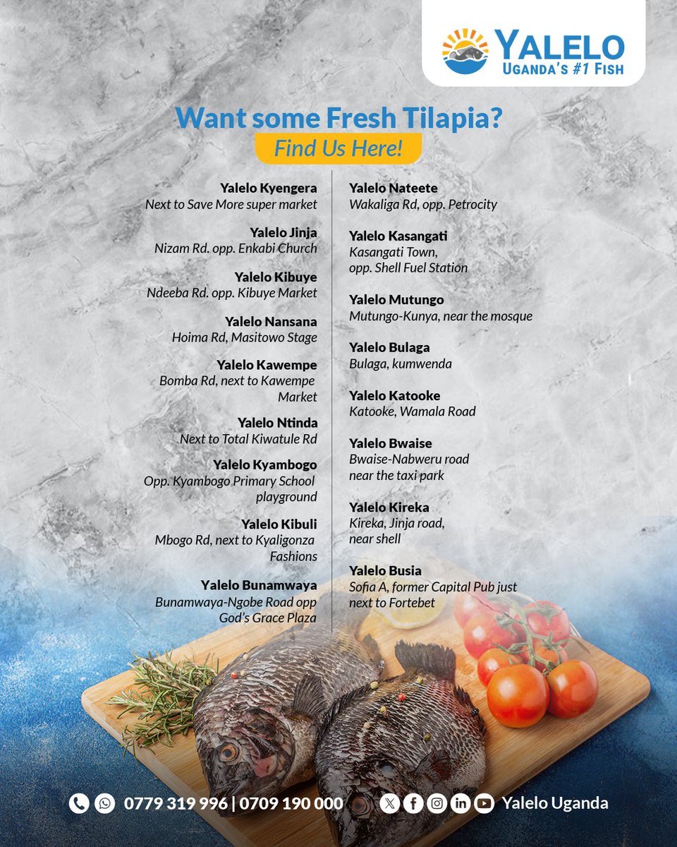 Our Locations are here to serve you with the Freshest Tilapia. Pass by any of these locations or call 0779319996 / 0709190000 to make your order.
#UgandasNo1Fish @YaleloUganda