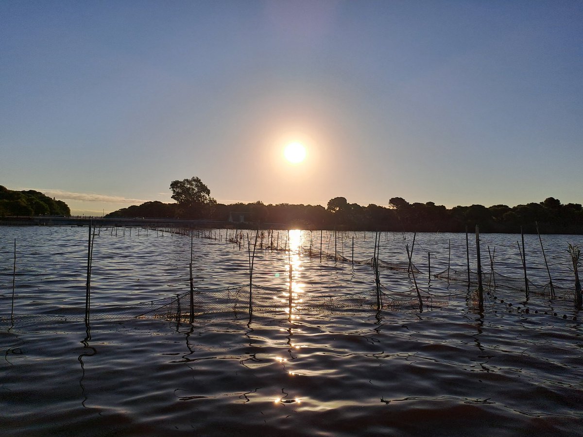 #BuenosDias #Bondia #Albufera