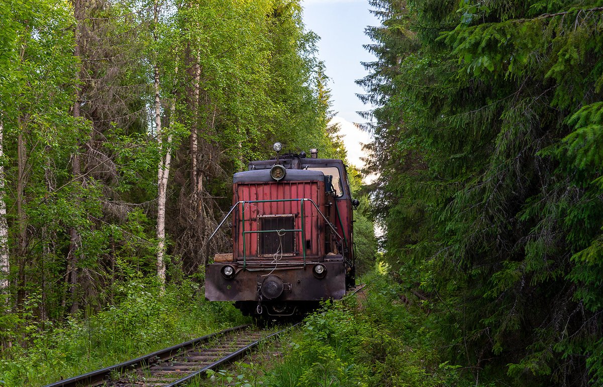 NGR_RU's tweet photo. Тепловоз ТУ6А-3078, Удимская УЖД, Архангельская область, 24.06.2023. Diesel locomotive TU6A-3078, Udimskaya narrow-gauge railway in Arkhangelsk Oblast, northern Russia, 24.06.2023. Photo: Filippov Mark. #narrowgauge #schmalspurbahn #УЖД #750mm #ТУ6А #TU6A #узкоколейка #eisenbahn https://t.co/wo2xUGiVt8
