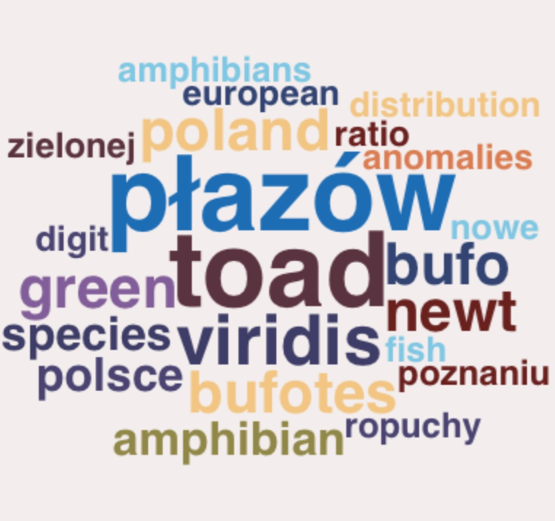 MrTraszka's tweet photo. Toads win! 🐸 #Bufo bufo #Bufotes viridis https://t.co/B0XKZcNbQc