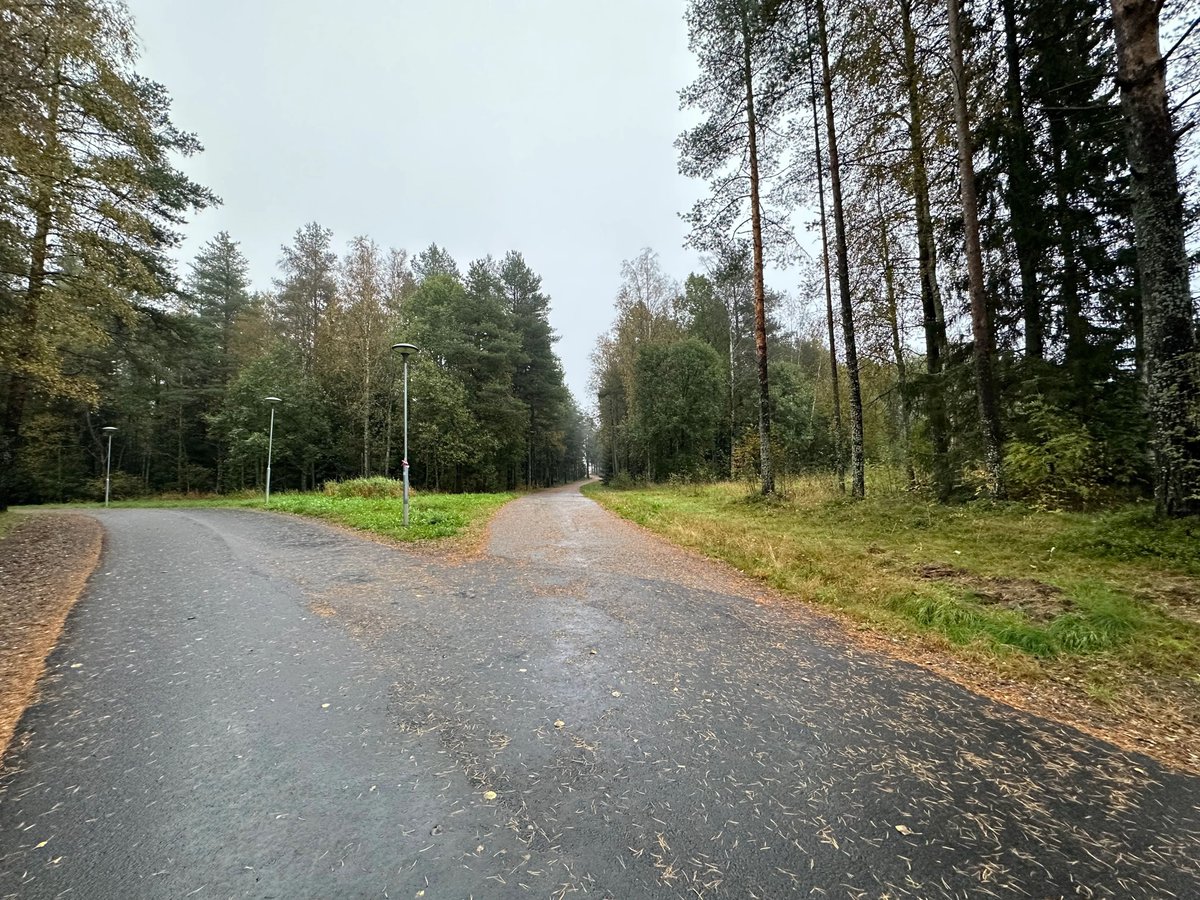 SwedenDiaries's tweet photo. Exploring the enchanting streets of Umeå City, where lush greenery seems to stroll alongside the roads. 🌿🌳 #UmeåAdventures #NatureInTheCity"
-

For more scenic images please follow our page: @swedendiaries
-
-

#UmeåWinterBeginnings #PeacefulPaths #NatureInTransition
#umea  # https://t.co/7RiYLCgKtv