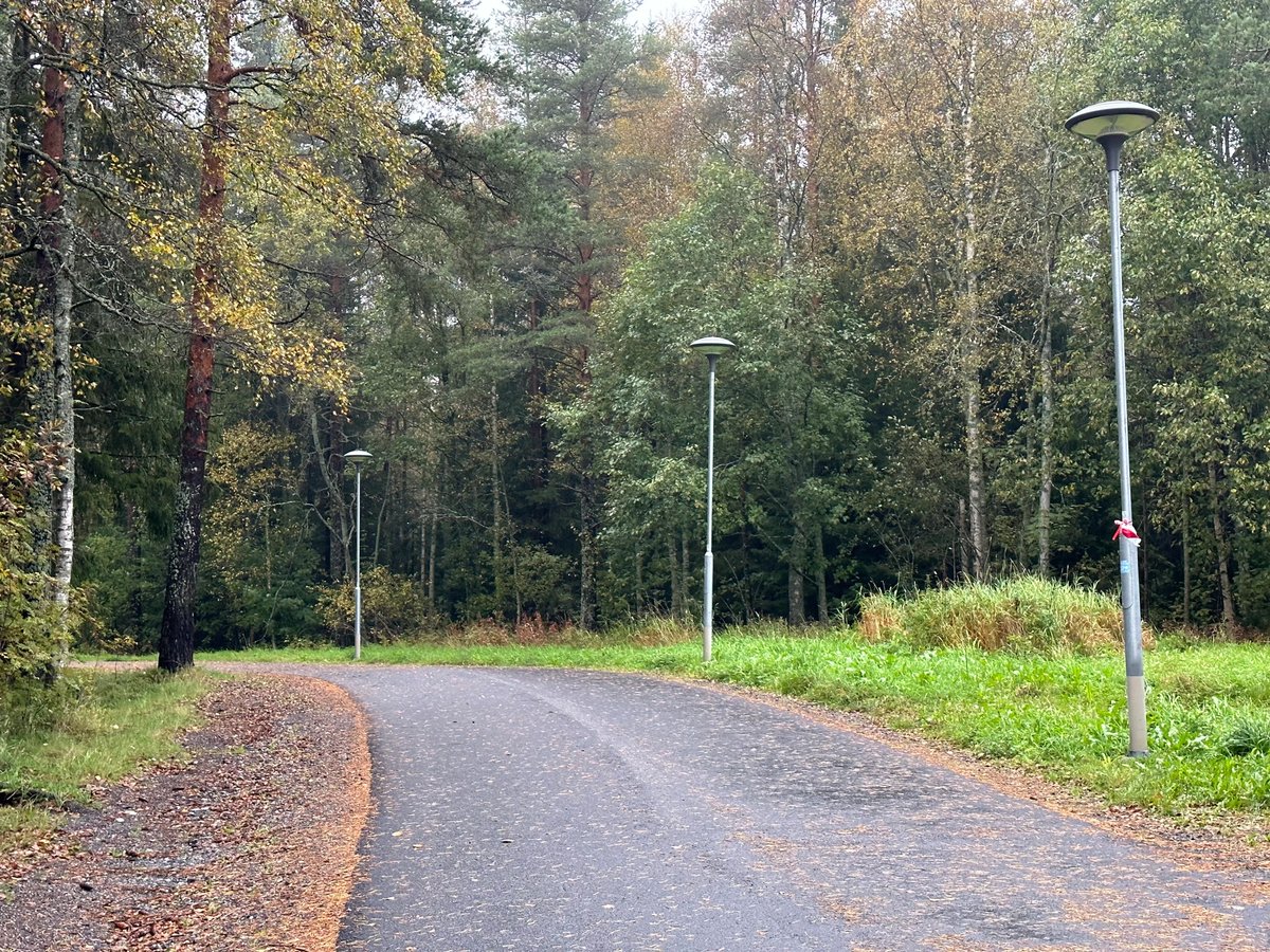 SwedenDiaries's tweet photo. Exploring the enchanting streets of Umeå City, where lush greenery seems to stroll alongside the roads. 🌿🌳 #UmeåAdventures #NatureInTheCity"
-

For more scenic images please follow our page: @swedendiaries
-
-

#UmeåWinterBeginnings #PeacefulPaths #NatureInTransition
#umea  # https://t.co/7RiYLCgKtv
