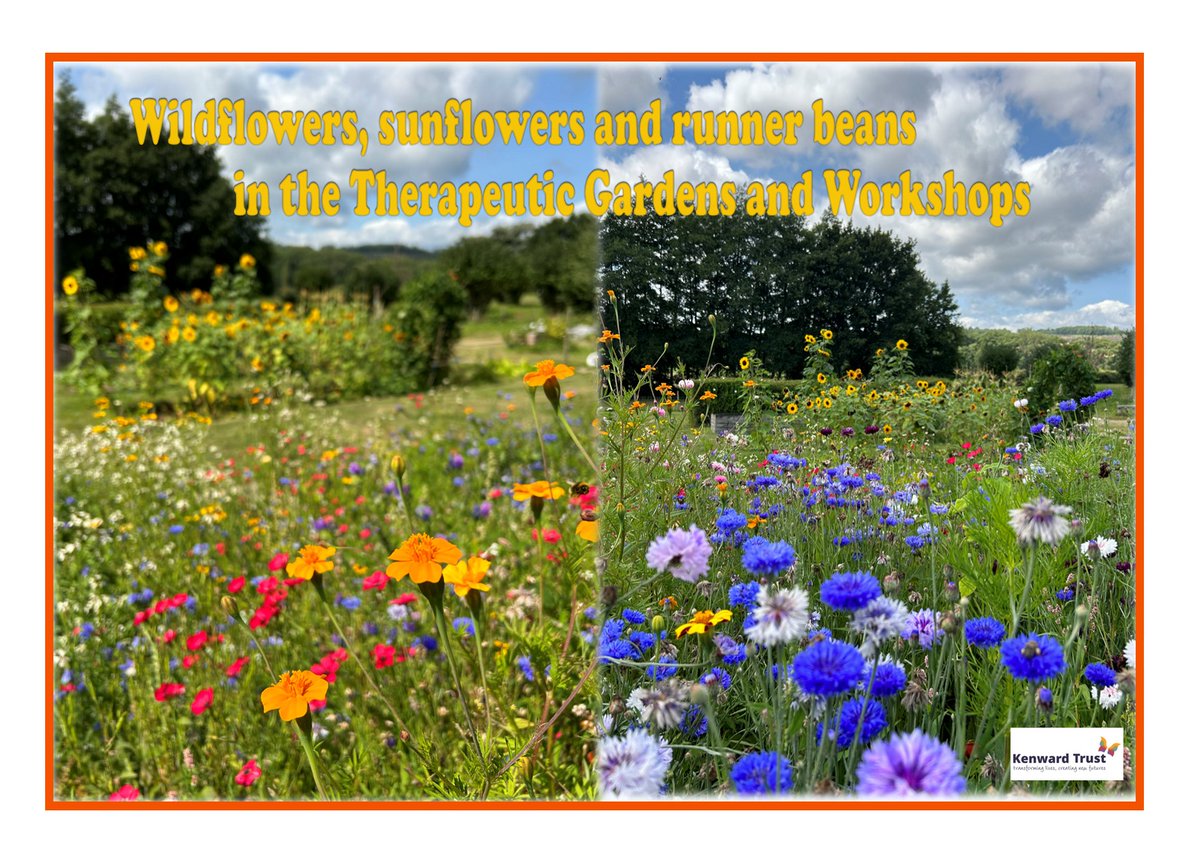 kenwardtrust's tweet photo. Our Therapeutic Gardens & Workshops play a central role in this process, offering both restoration and practical skills.
What's more, our workshops are driven by our residents themselves, allowing them to shape their own path to recovery.
#Kenward #AddictionRecovery https://t.co/lbjnsKe4aP