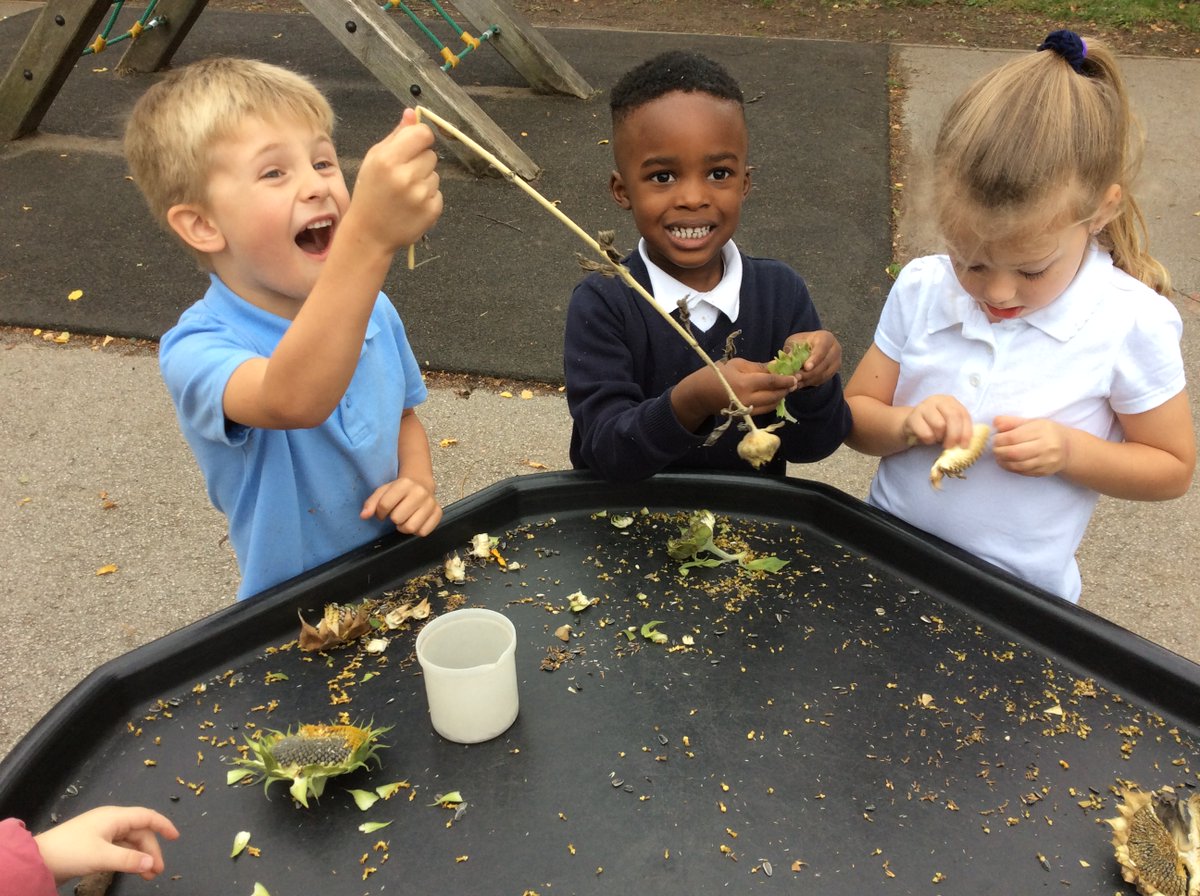 SirEdHillaryPri's tweet photo. Harvesting the seeds of the plants we sowed in Spring https://t.co/oOCJTvcNAQ