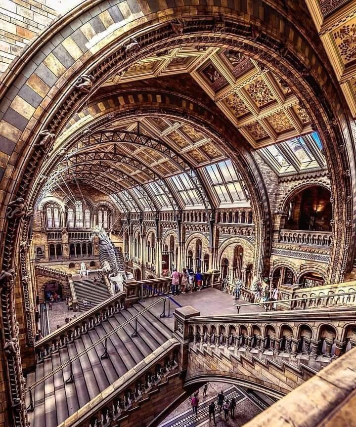 London ' s most iconic landmark, Natural history Museum.
#ancient #ancientarchitecture