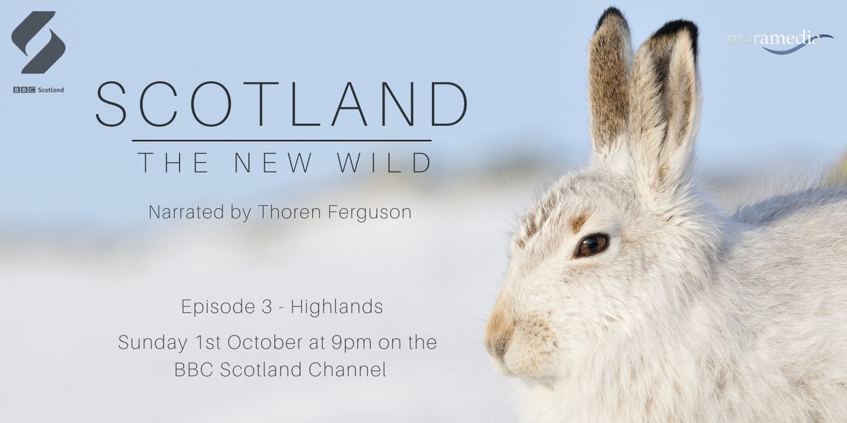 We're delighted that our filmmaking team was able to contribute to Scotland The New Wild. Don't miss the next episode, #Highlands - airing tonight on BBC Scotland!