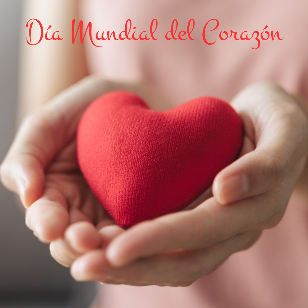bernabeufarma's tweet photo. Hoy es el #DíaMundialDelCorazón. Cuidar de nuestro corazón es fundamental para una vida saludable.
Recuerda que en #farmabernabeu, contamos con productos y servicios que te ayudarán a cuidar de tu corazón y #Bienestar general. ¡Juntos, cuidemos de nuestro motor vital! https://t.co/eZXCbktFYe